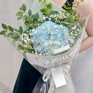 Hoa Cẩm Tú Cầu Tri Ân Ngày 20/11