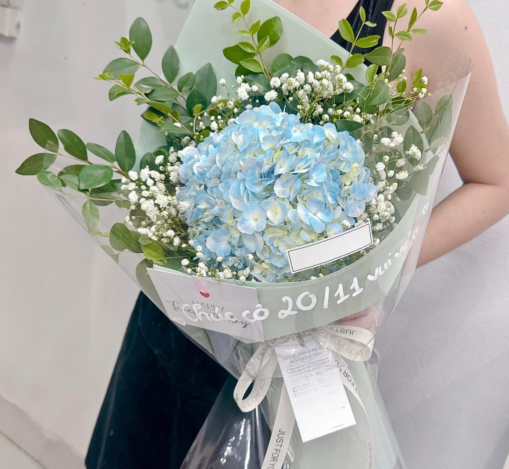 Hoa Cẩm Tú Cầu Tri Ân Ngày 20/11