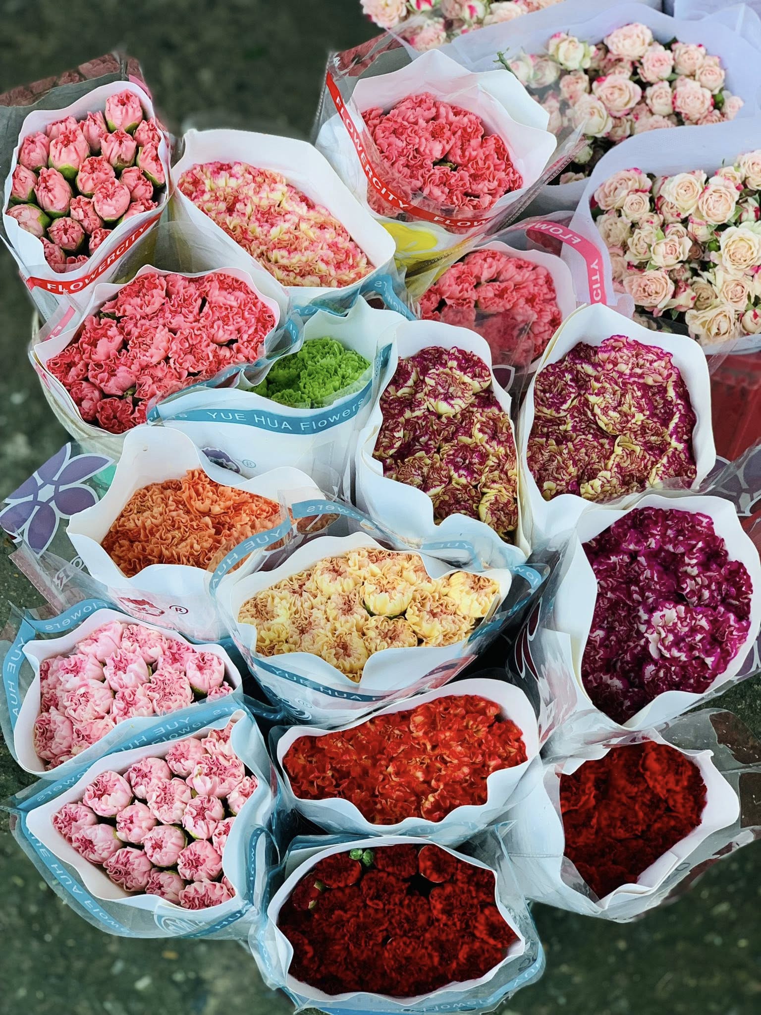 Thị Trường Hoa Tươi Tại Vĩnh Phúc năm 2025