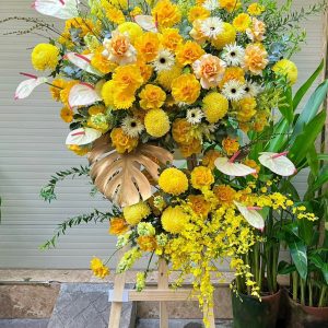 Hoa Khai Trương Tone Vàng