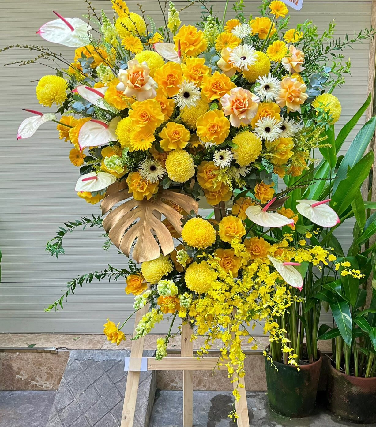 Hoa Khai Trương Tone Vàng