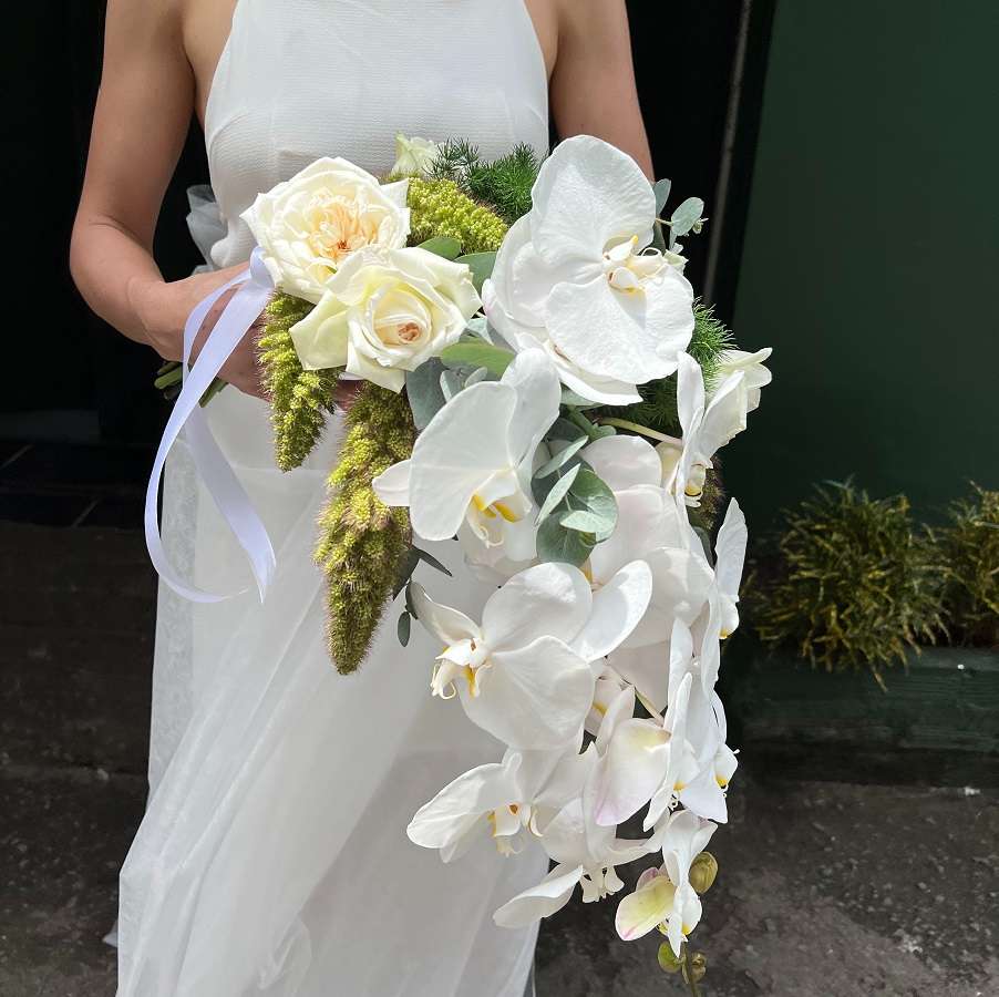 Hoa cưới lan hồ điệp thác đổ