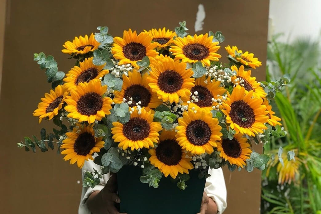 Ý nghĩa của hoa ly – Vẻ đẹp thanh cao và thông điệp sâu sắc