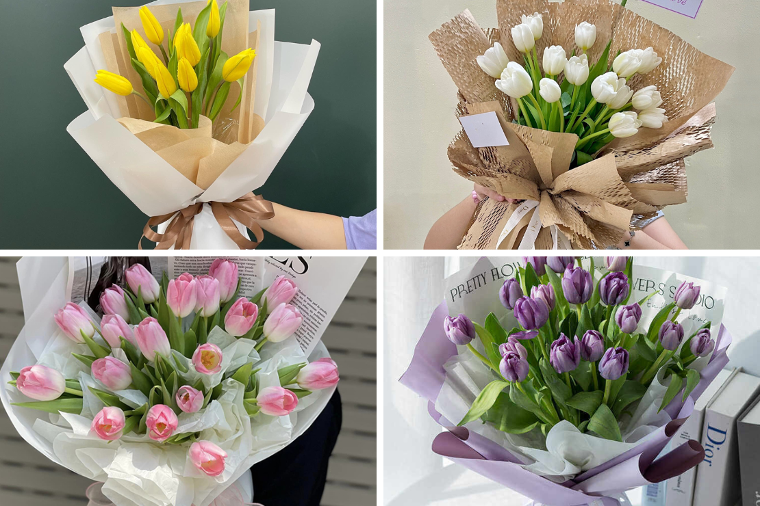 Ý nghĩa hoa Tulip theo màu sắc