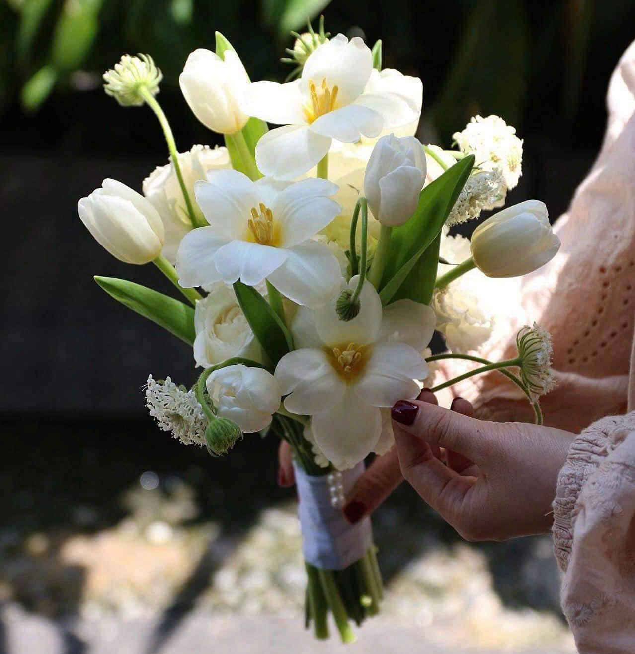 Hoa cưới tulip trắng