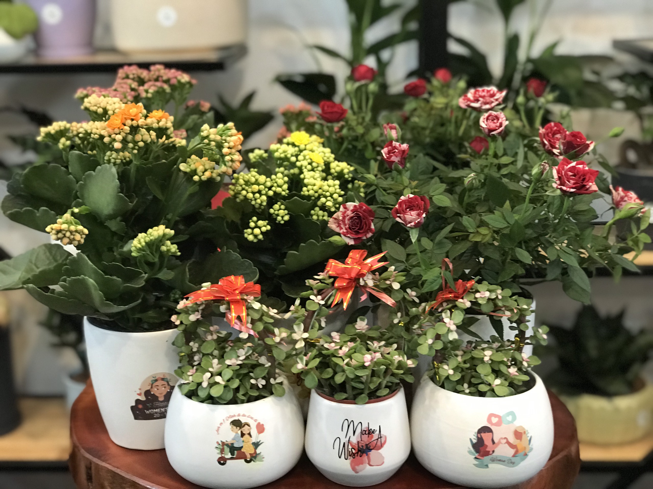 Mẫu chậu hoa tươi để bàn