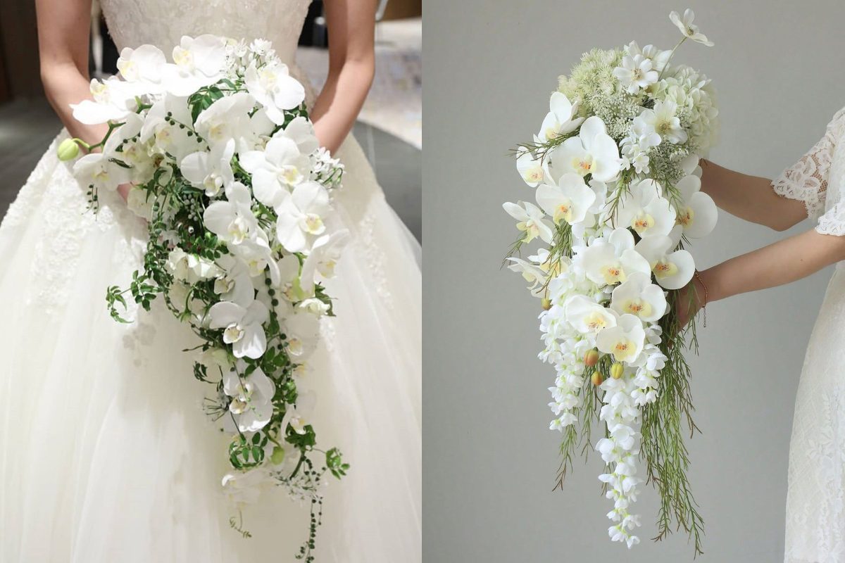 Bó dáng dài / thác nước