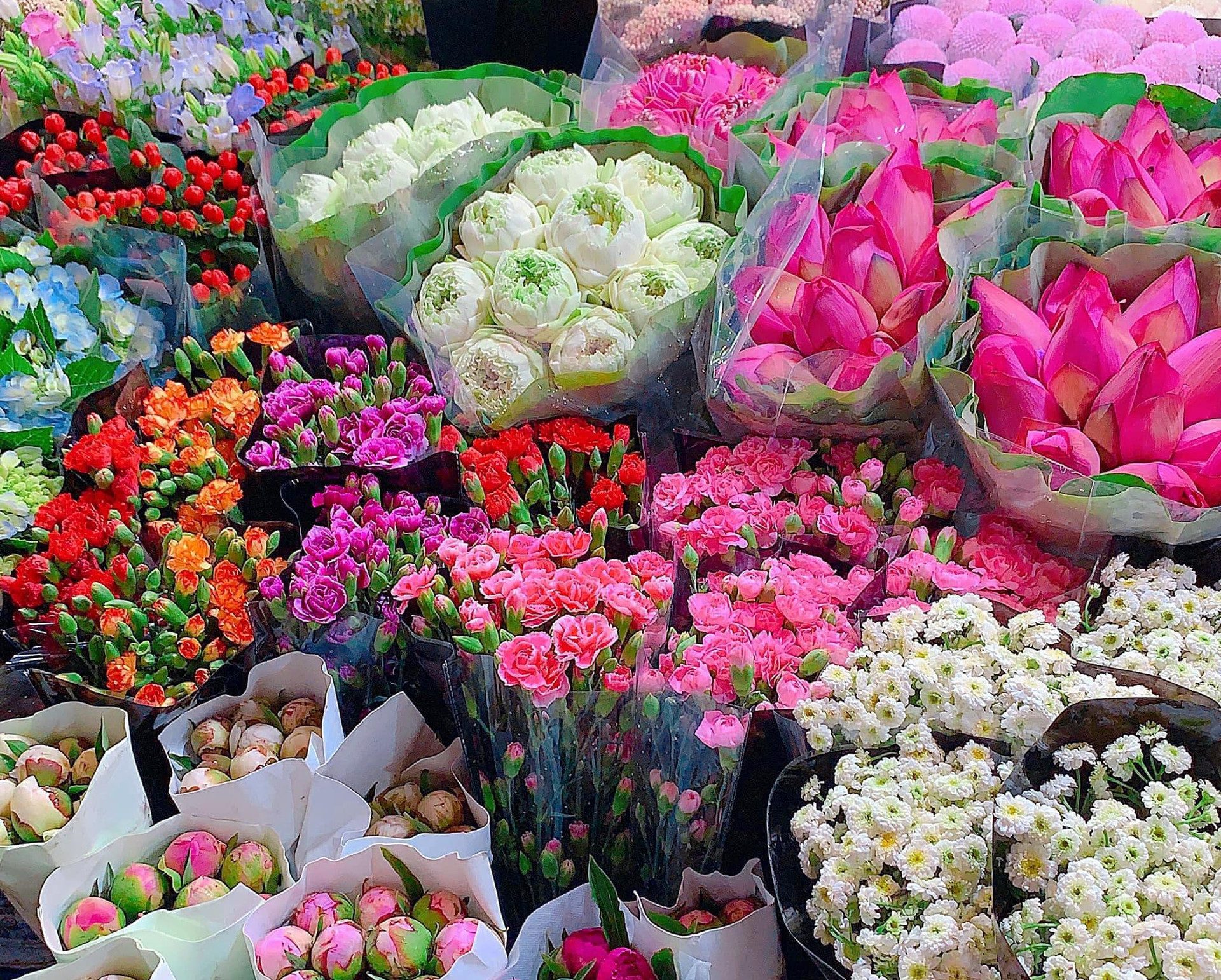 Mẫu hoa được yêu thích nhất tại Vĩnh Tường