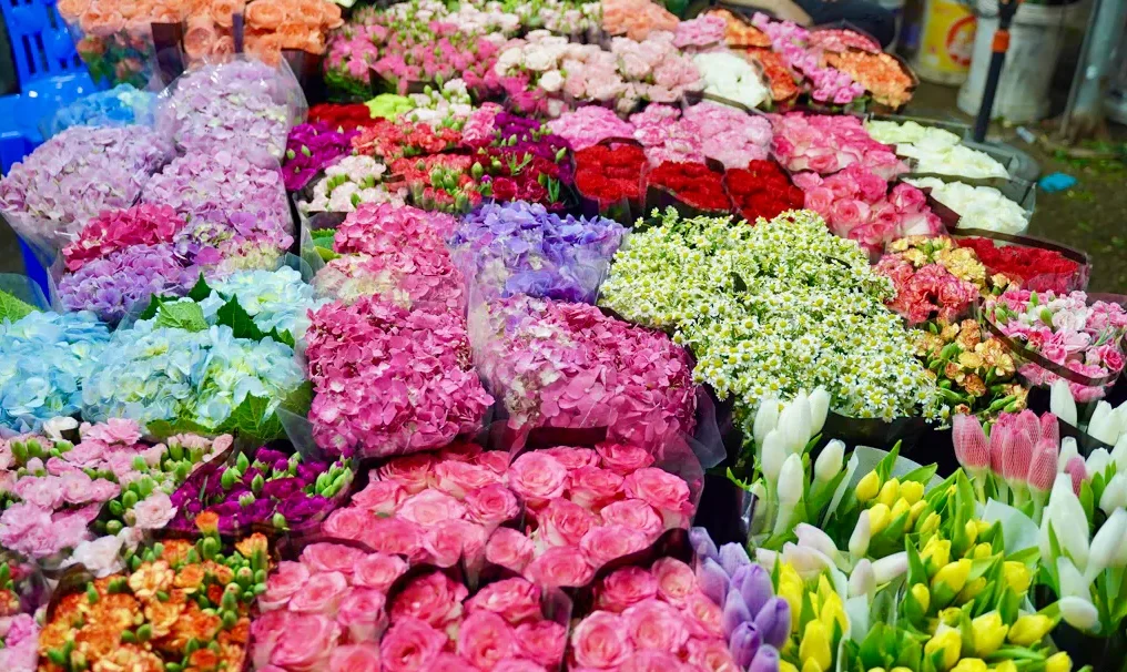 Đa dạng mẫu hoa đẹp tại Vĩnh Tường